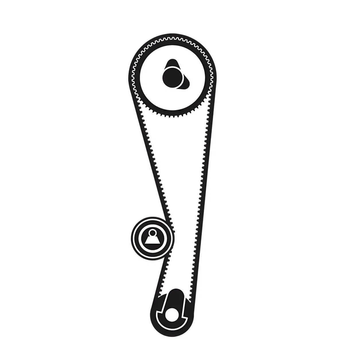 SKF VKMA 95648 Kit de Correa de Distribución