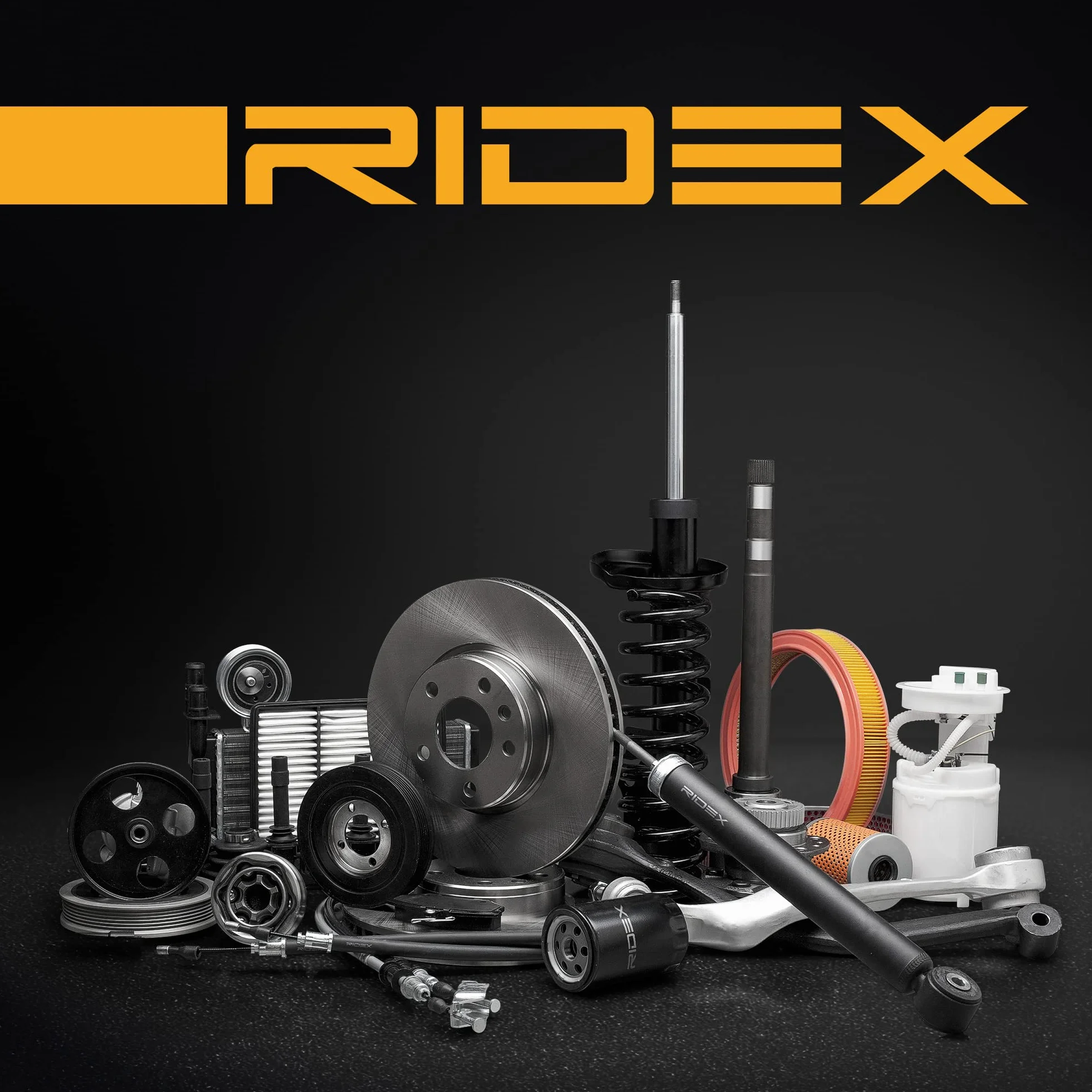 RIDEX 188C1287 2x Muelle de suspensión Trasero Compatible con MERCEDES-BENZ Clase C T-modell S204